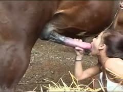 A young amateur pauses and continues to lick the horse's large dick.